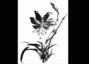 水墨画 兰花素材