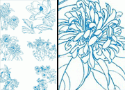 线描花朵素材