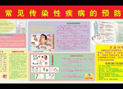 预防疾病宣传栏